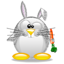 Penguin pingouin pinguino 318
